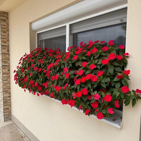 Pansion Speranza Medugorje Medjugorje Exterior foto
